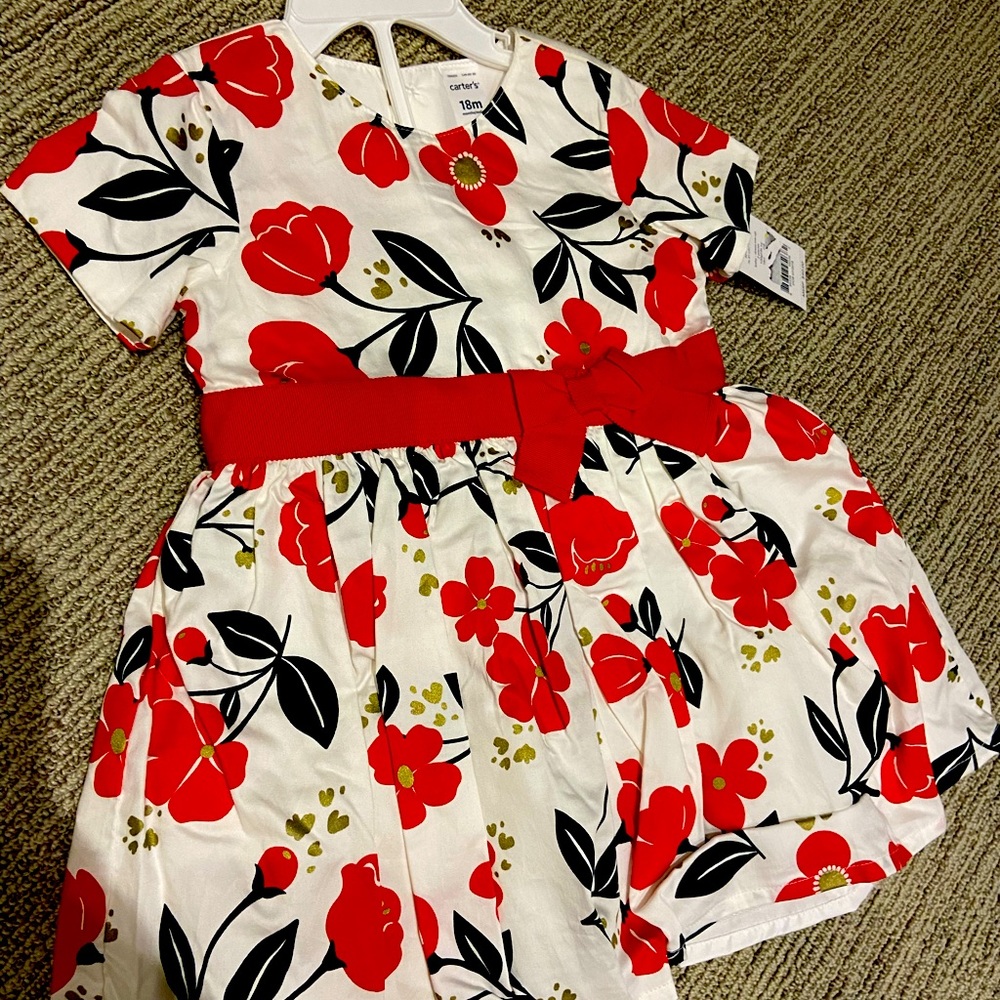 BNWT Carter’s Floral Girls Dress